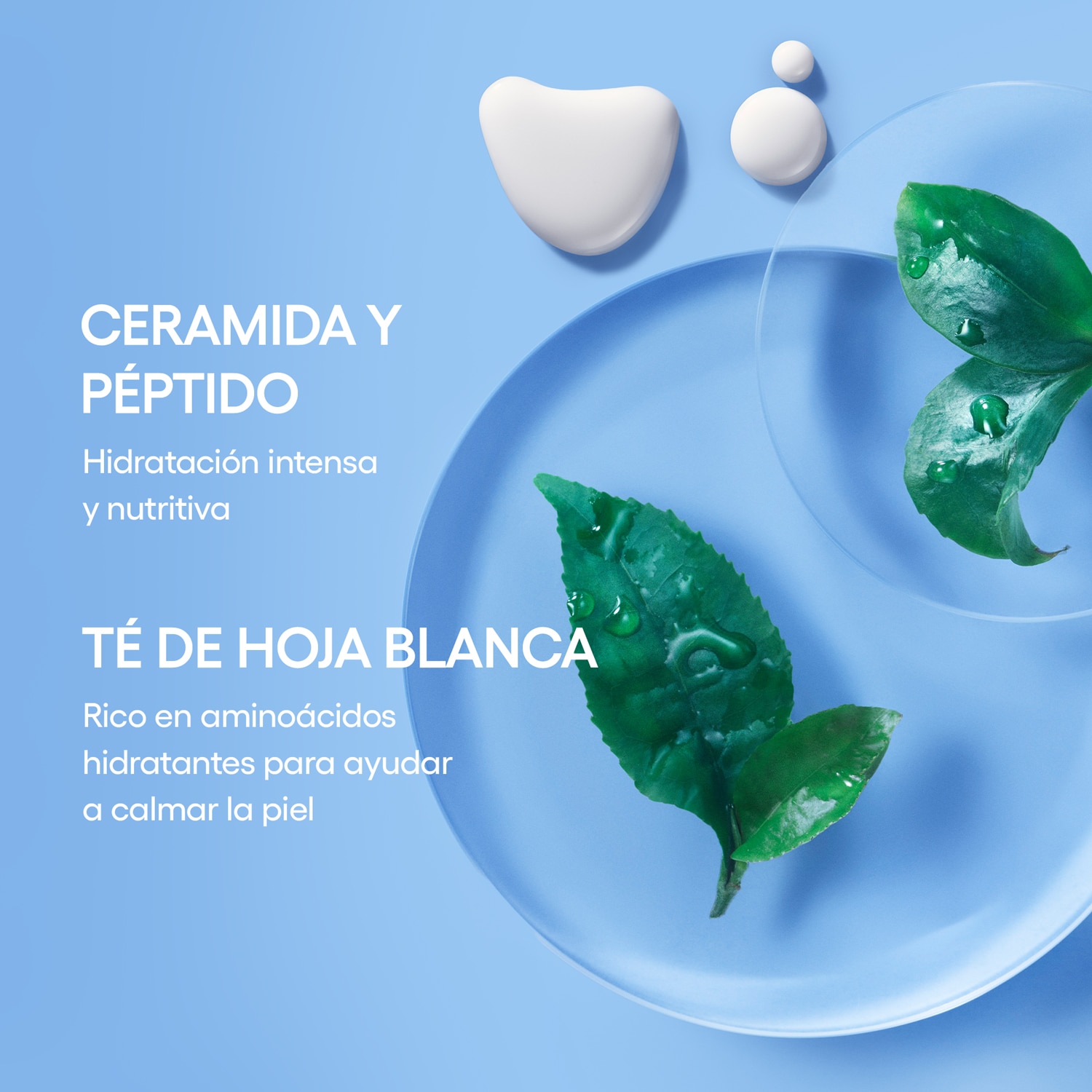 CREAM SKIN TONER & MOISTURIZER WITH CERAMIDES AND PEPTIDES (TÓNICO E HIDRATANTE PARA LA PIEL)